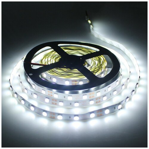   SMD5050-60LED-12V econom 5. -  : 5500-6000K 1800