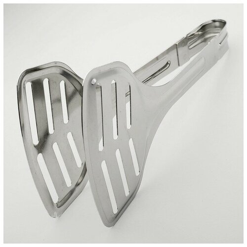 ����� ��� ���� ����������, ���� ���������� 1248�