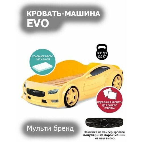 ������� ������ �������� 3d EVO 