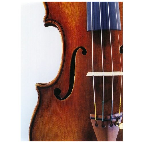     (Violin) 2 50. x 68. 2480