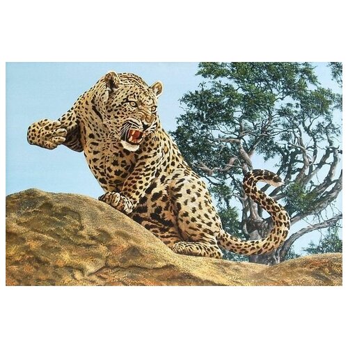      (Leopard) 7 60. x 40.,  1950   