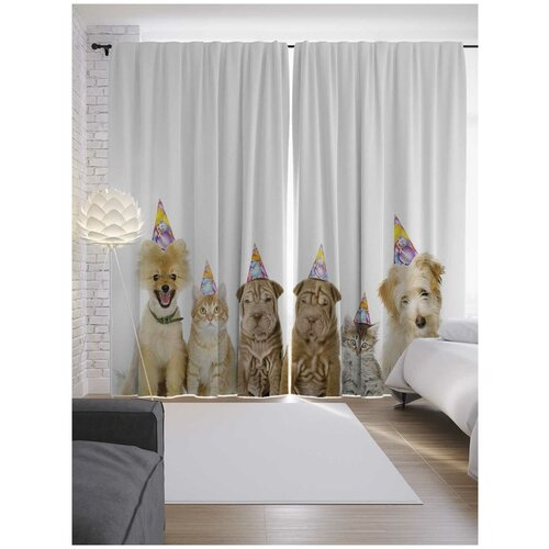 ����� JoyArty � ����������� 
