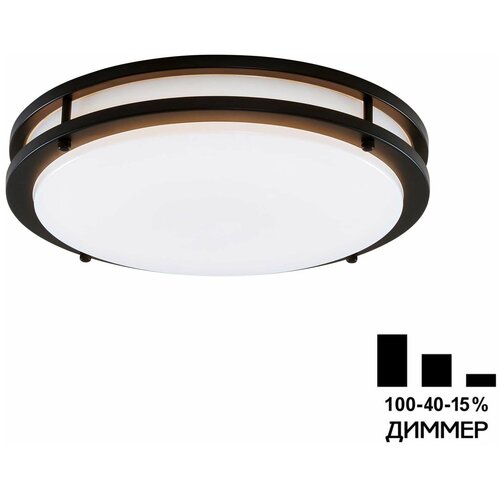 Citilux  CL709205N LED     2990