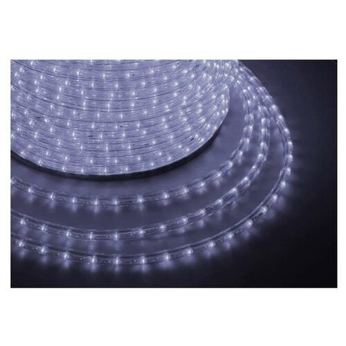  LED ,   (2W) - , 36 LED/,  100, Neon-Night  121-125 30950