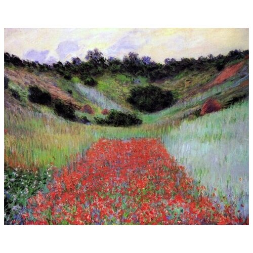        (Poppy Field of Flowers in a Valley)   62. x 50. 2320