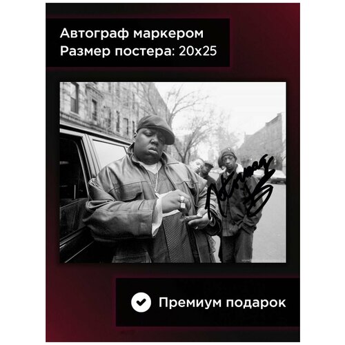 ������ � ���������� �������� ���, 20*25 ��, ��� ���� 594�