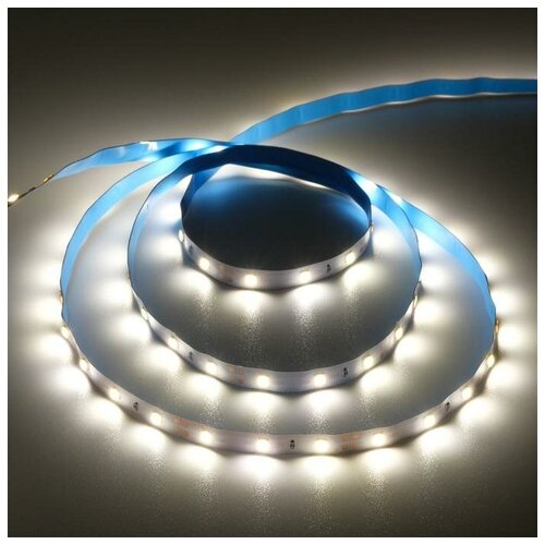   PRO 5 , IP20, SMD3528, 60 LED/, 4.8 /, 12 , 4200 385