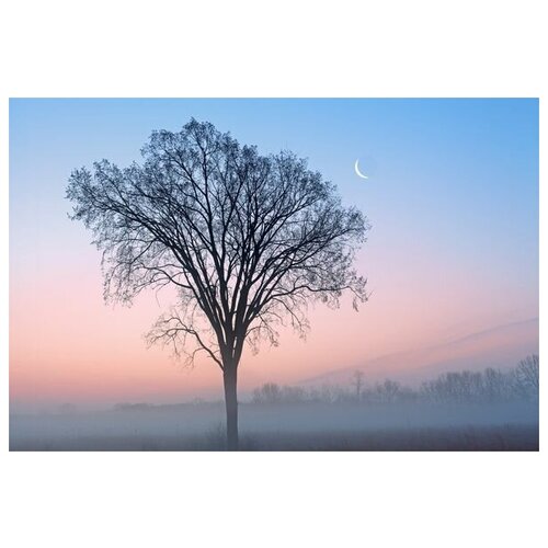        (Tree in the fog) 45. x 30.,  1340   