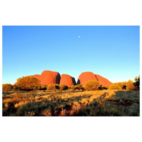       (National Park, Australia) 60. x 40. 1950