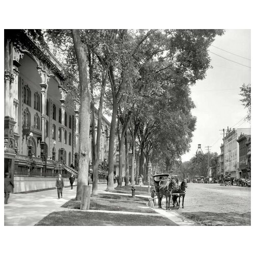       (Street with trees) 63. x 50. 2360