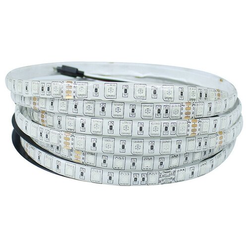   RGB: SMD5050-60LED-IP65-24 5. -  :RGB 2900