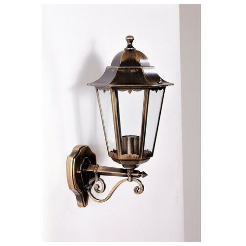    PETERSBURG 79801M/02 Gb Oasis Light M,  3043  Oasis Light