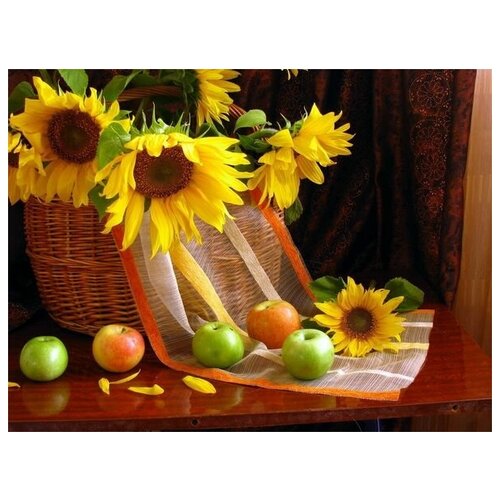     (Sunflower) 5 53. x 40. 1800