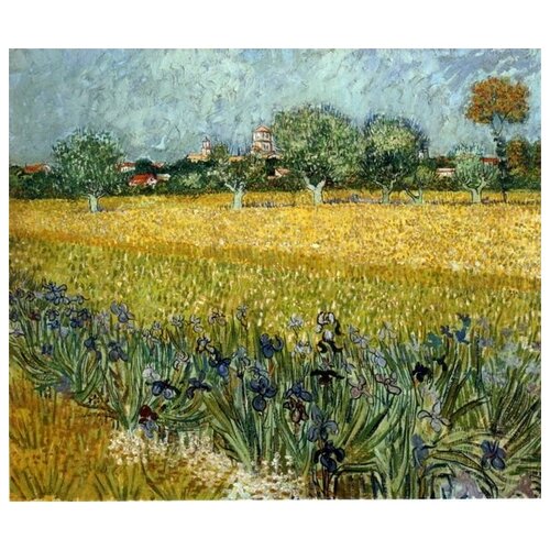     c  (View of arles with irises)    59. x 50. 2250