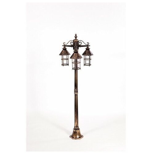  CAIOR 81508B Gb Oasis Light 1 20352