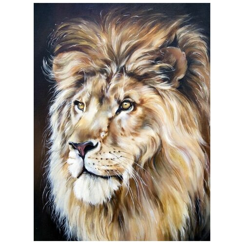     (Lion) 5 30. x 40. 1220