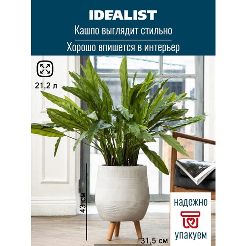     Idealist Lite , , 31.5 43 , 21.2  8660