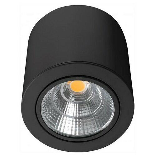    Arlight SP-Focus-R140-30W Day4000 029537 7324