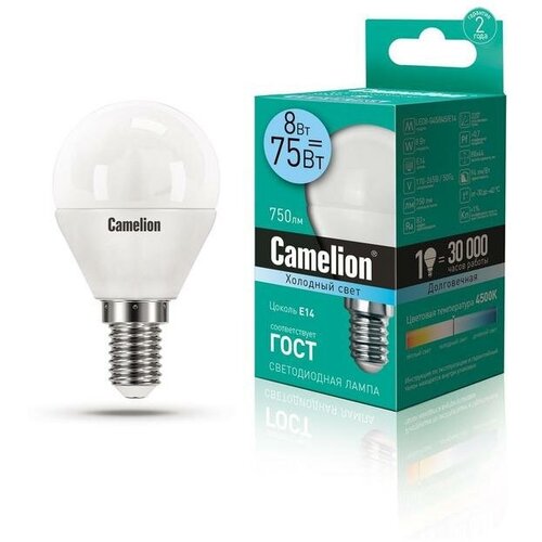    LED8-G45/845/E14 8  4500 . E14 750 170-265 Camelion 12393 (8. .),  1260  CAMELION