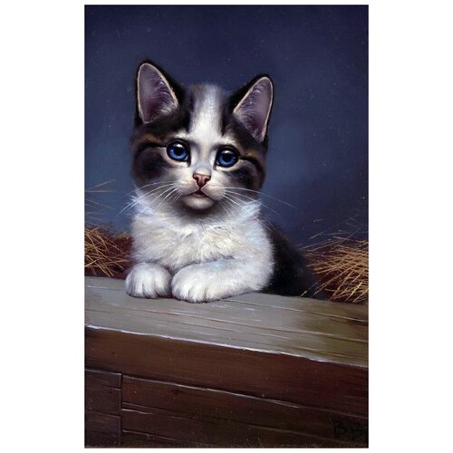     (Kitten) 2 30. x 47. 1390