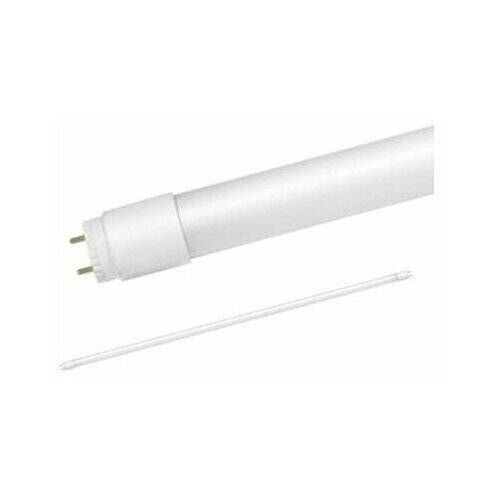   LED-T8--PRO 32 6500 G13 2700 230 1500 . IN HOME 4690612031040 (5. .) 2137