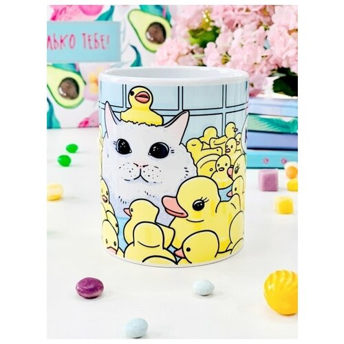  Sweet Cat Shop    349