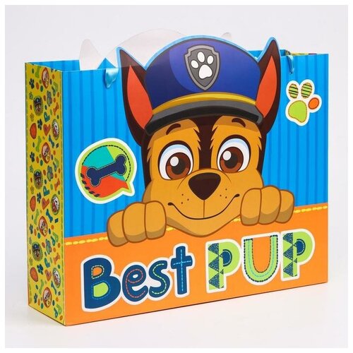 Paw Patrol    