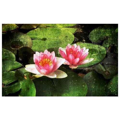      (Water Lilies) 2 64. x 40.,  2060   