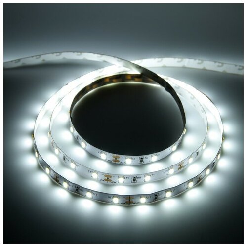    General, 12, SMD2835, 5 ,  ., 60 LED/,  952