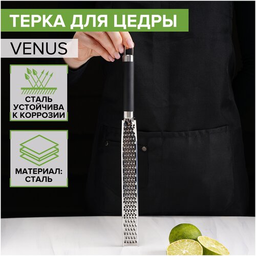 Ҹ��� ��� ����� ������ Venus, ����������� �����, ���� ������ ������ 7139509 . 588�