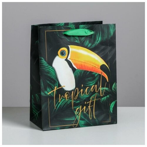    Tropical gift, MS 18 ? 23 ? 10  4725123 200