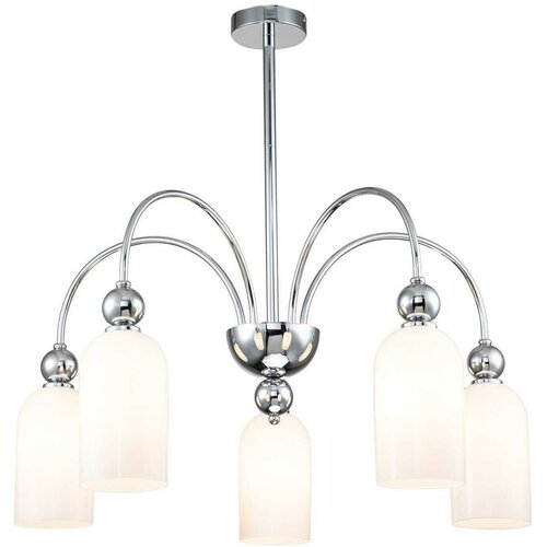   Escada ODE 686/5PL Chrome 14080