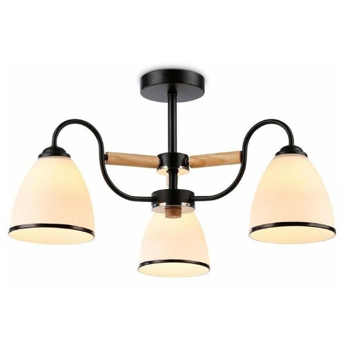    Ambrella Light Modern TR3033241 3885