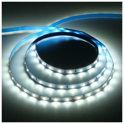    Ecola PRO 5 , IP20, SMD5060, 60 LED/, 11 /, 12 , 6000,  583  Ecola