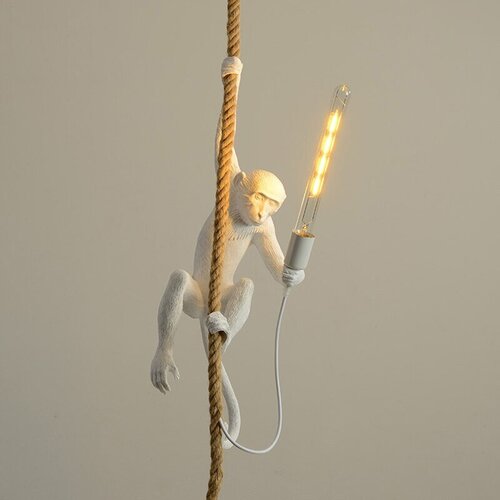   Monkey White Studio Led 12600