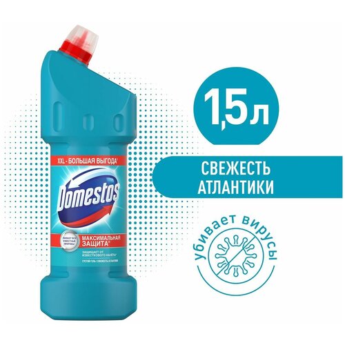   Domestos          1.5 1017