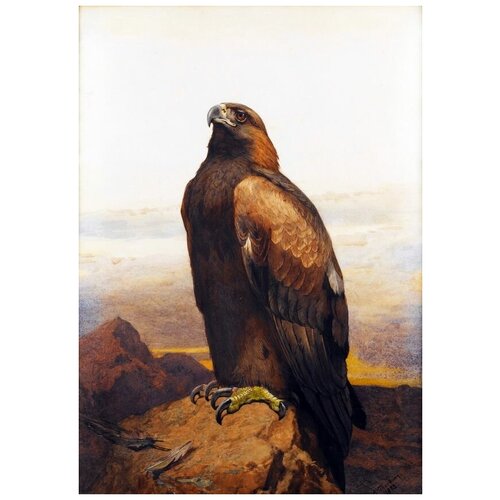     (Bird) 4 40. x 57. 1880