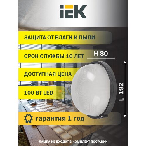  IEK 100  (lnpp0-1101-1-100-k02) LNPP0-1101-1-100-K02 . 1113