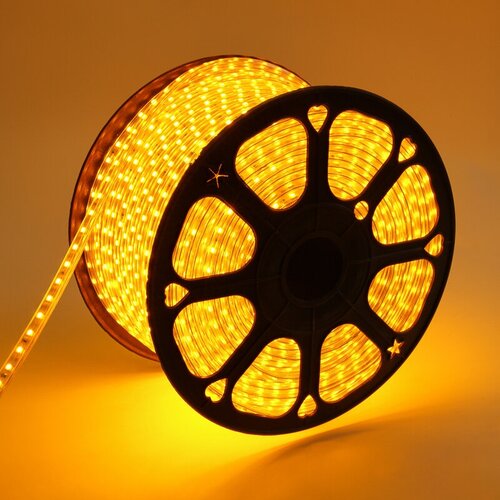   LED 220, 13x8 , IP67, SMD 5050, 60 LED/m,   100  Neon-Night 19152