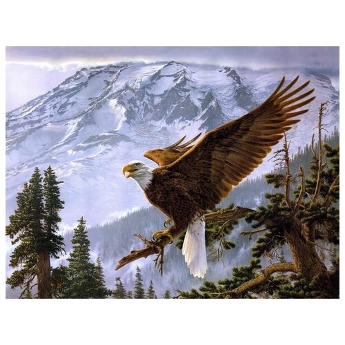   (The Eagl) 1 40. x 30. 1220