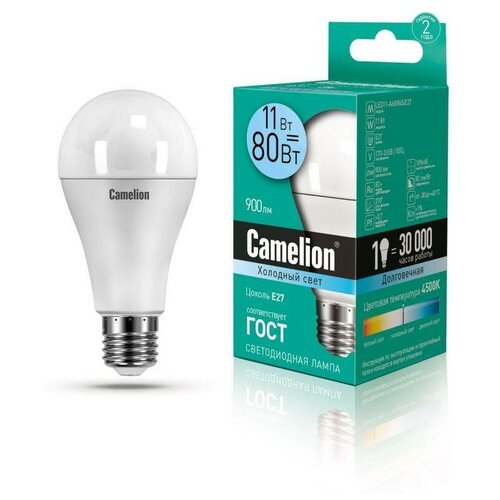   LED11-A60/845/E27 11  4500 . E27 880 220-240 Camelion 12036 (30.) 4249