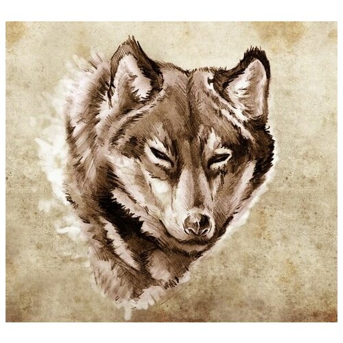     (Wolf) 7 55. x 50. 2130