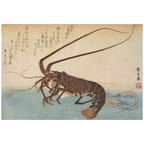     (1832-1833) (Woodblock print from the Large Fish Series: Ise-ebi: Crawfish or Spiny Lobster and Ebi: shrimp)   74. x 50. 2650