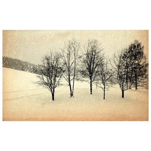     (Winter) 19 48. x 30. 1410