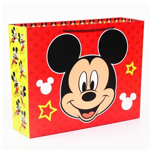    ,  , 50x40x15./  : 1,  480  Disney