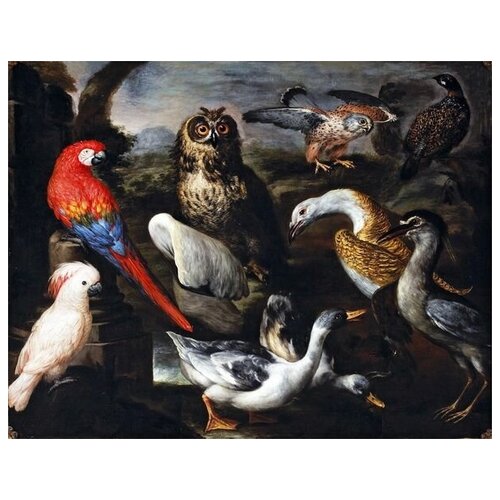      (Birds) 3   38. x 30.,  1200   