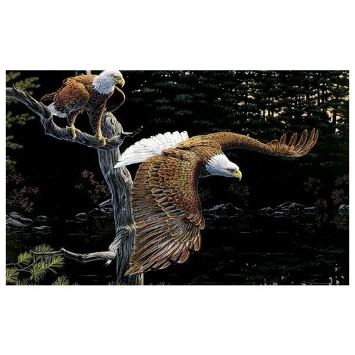     (The Eagles) 2 64. x 40. 2060