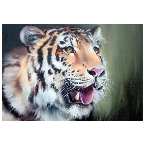     (Tiger) 11 43. x 30. 1290