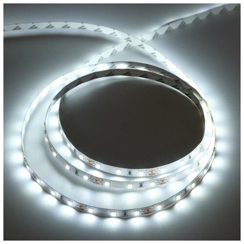   Ecola PRO 5 , IP20, SMD2835, 60 LED/, 8 /, 12 , 6000 488