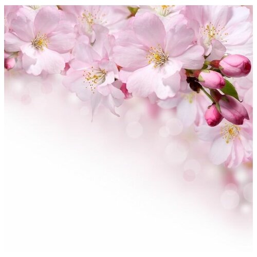     (Sakura) 13 40. x 40. 1460